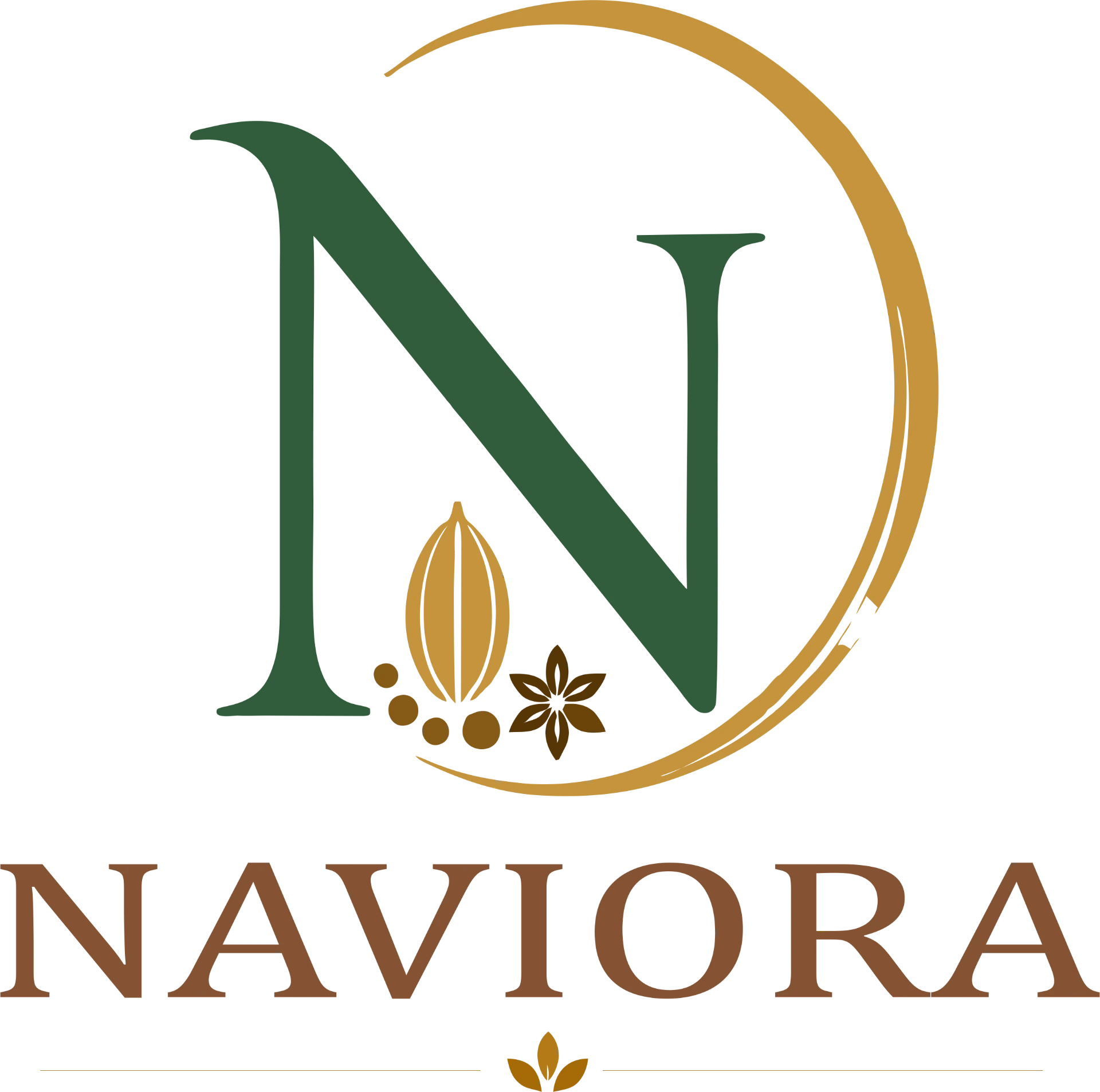 Naviora Logo